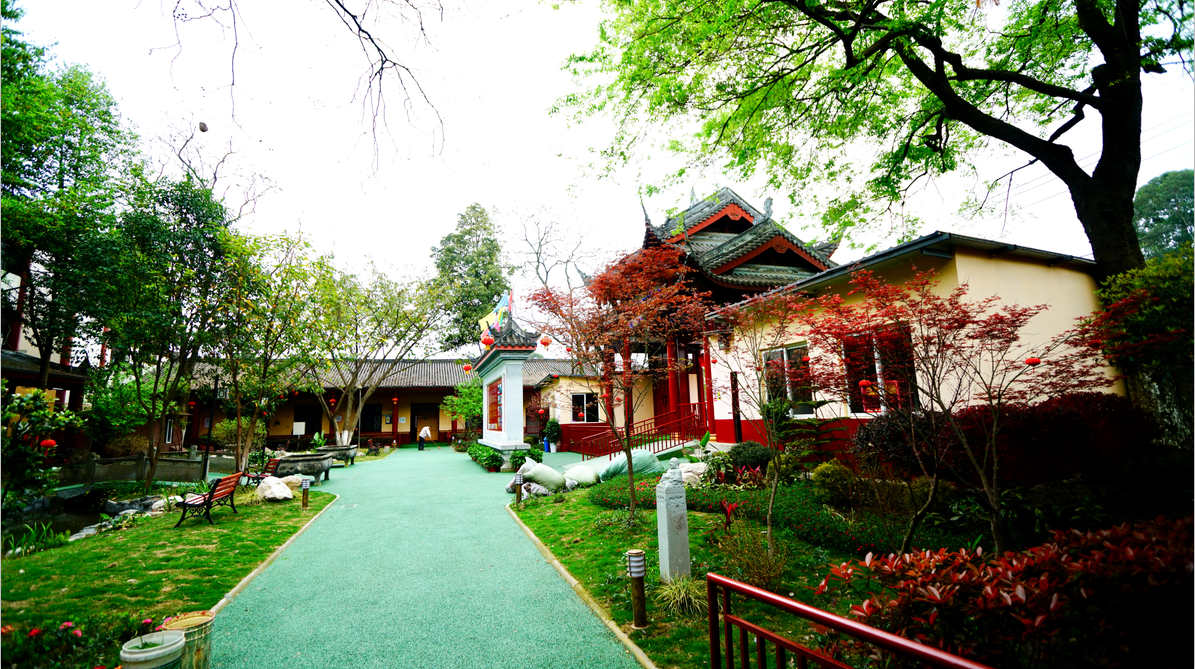 老了去不去養老院？成都養老院推薦哪家？